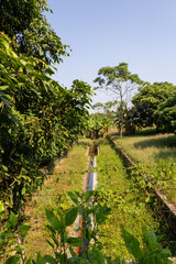 drainage ditch in china water drain zhongshan dam
