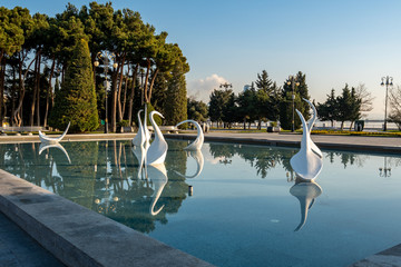 View of swans fountains in the National Seaside Park in Baku