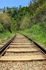 Fototapeta premium railway in forest