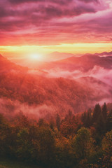 Erstaunlicher nebliger Sonnenaufgang mit aufgehender Sonne über dem alpinen bewaldeten Bergrücken, malerische Landschaft, Reisehintergrund im Freien, Alpenberge, Slowenien. Vertikales Bild