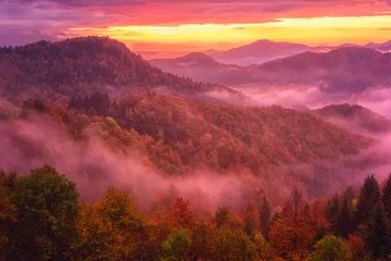 Fototapete Nach Farbe Erstaunlicher nebliger Sonnenaufgang über dem bewaldeten Bergrücken der Alpen, malerische Landschaft, Reisehintergrund im Freien, Alpenberge, Slowenien
