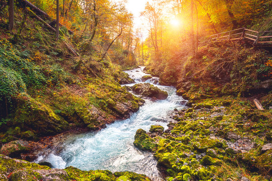 Famous Vintgar gorge (soteska Vintgar) or Bled Gorge (Blejski vintgar) in Slovenia. Amazing nature autumn landscape with scenic canyon of turquoise colored Radovna river, outdoor travel background