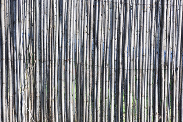 Bamboo wall background, traditional homemade fence