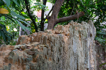 Obraz premium eroded dirt wall from a hidden chinese village that looks like a desert mountain range