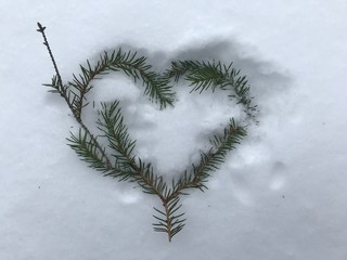  Heart made of fir branches in the snow