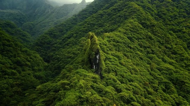  Flight over the lush green jungle with palm trees and dense trees growing on large mountains, covered with fog. The valley lies in the Papenoo region on a tropical island of French Polynesia, 4K AERI
