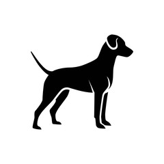 A dog as a pet. Illustration of a dog as a pet on a white background