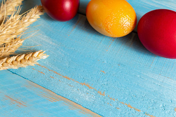 colorful eggs for Easter with ears of grain on blue wooden background
