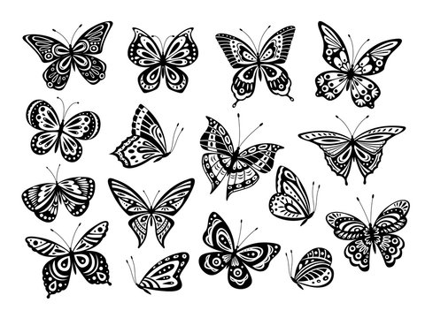 Black butterflies. Drawing butterfly silhouette, nature elements. Gorgeous artwork ornate wings different forms. Isolated tattoos vector set. Butterfly insect, silhouette butterfly illustration