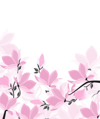 Vector illustration floral decoration. Spring tree magnolia. Background with pink flowers
