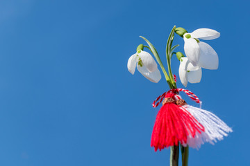 Snowdrops and martenitsa and blue sky background. March 1 tradition white and red cord martisor....
