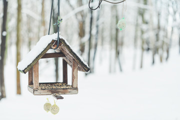 Birdhouse and a bird feeder in winter park. Copy space