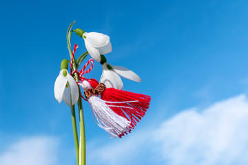 Snowdrops and martenitsa against the blue sky. Martisor flutters in the wind. March 1st - traditional trinkets. Baba Marta Day - Bulgarian holiday. Beginning of Spring Concept. Copy space. - obrazy, fototapety, plakaty