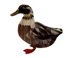Low poly triangular brown duck on white background, vector illustration isolated.  Polygonal style trendy modern logo design. Suitable for printing on a t-shirt.