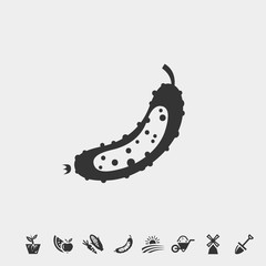 cactus icon vector illustration and symbol foir website and graphic design