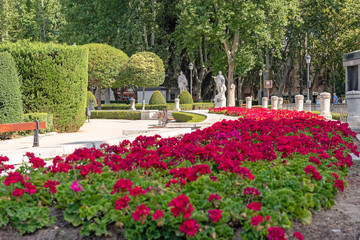 Fototapeta premium Flower bed on the plaza de oriente in Madrid. Spain