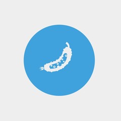 cactus icon vector illustration and symbol foir website and graphic design