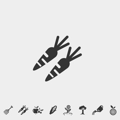 carrots icon vector illustration and symbol foir website and graphic design