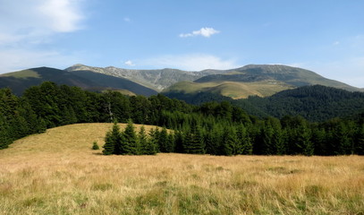 landscape in the mountains