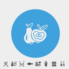 pear fruit icon vector illustration and symbol foir website and graphic design