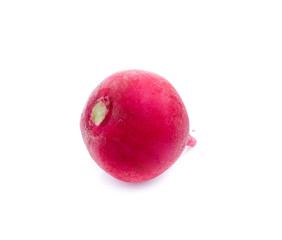 Small garden radish isolated on white background