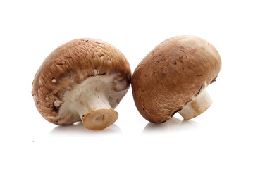champignon mushrooms on white background