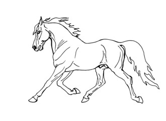 trotting pony outline drawing, sketch, vector isolated monochrome image on white background