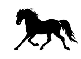 horse, trotting pony, black silhouette on white background,  isolated monochrome image