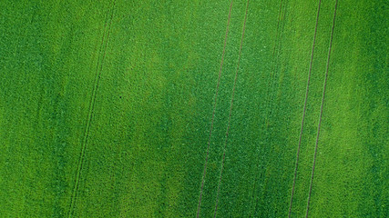 aerial view of grass field. natural amazing green spring summer background. drone shot. Farmland from above.