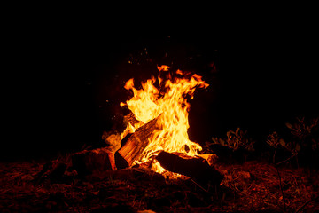 Campfire burning at dark night