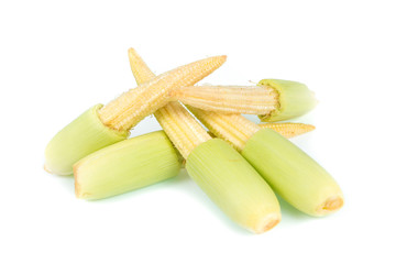 baby corn isolated on white background