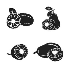 Vector black Jackfruit set on white background