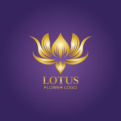 Golden lotus flower logo. Vector design template of lotus icon on dark background with golden effect for eco, beauty, spa, yoga, medical companies.