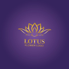 Golden lotus flower logo. Vector design template of lotus icon on dark background with golden effect for eco, beauty, spa, yoga, medical companies.