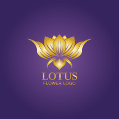 Golden lotus flower logo. Vector design template of lotus icon on dark background with golden effect for eco, beauty, spa, yoga, medical companies.