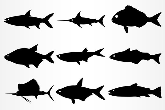 A set of nine different fish icons. Marine and aquarium fish.