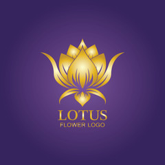 Golden lotus flower logo. Vector design template of lotus icon on dark background with golden effect for eco, beauty, spa, yoga, medical companies.