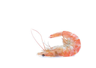 Shrimp isolated on the white background