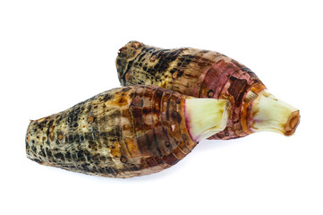 taro isolated on white background