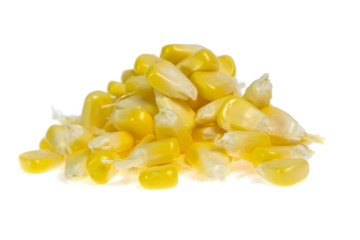 An ear of corn isolated on a white background