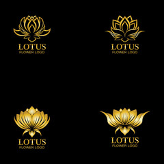 Golden lotus flower logo. Vector design template of lotus icon on dark background with golden effect for eco, beauty, spa, yoga, medical companies.