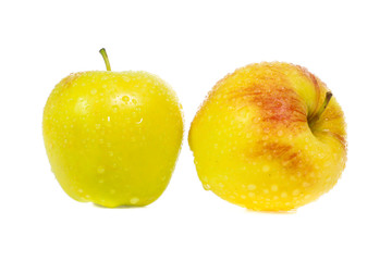 yellow apples isolated