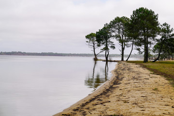 Fototapeta na wymiar sand beach lake in sanguinet village in Landes France
