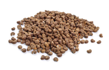 Abelmoschus moschatus Seed. Abelmosk, ambrette annual hibiscus Bamia Moschata Galu Gasturi muskdana