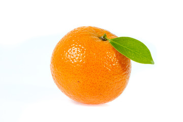 orang isolated on white