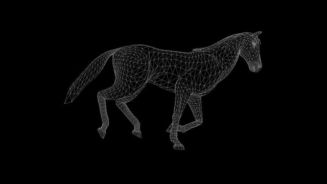 Wireframe 3d horse running, seamless loop, Alpha PNG