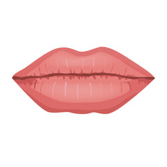 Vector illustration of beautiful woman lips with natural make up on white background