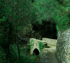 Little bridge in Cinque Terre