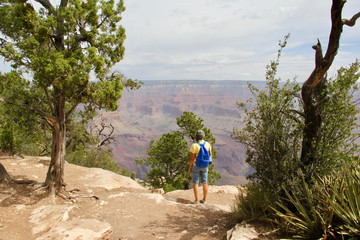 Tourist at a Grand Canyon overlook