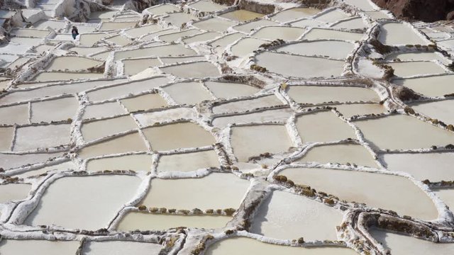 Salinas de Maras in the Sacred Valley of the Incas in the Andes mountains of Cusco region, Peru - Salt workers walking between salt ponds